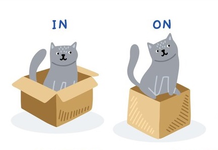 Demonstration of preposition in and on usage with help of cat and box